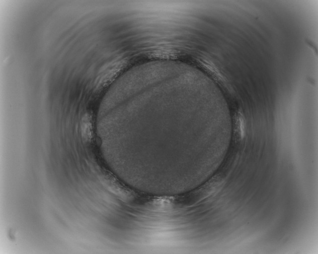 X0000102380080200808291411