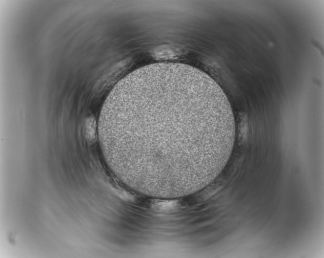 X0000102380081200808291411