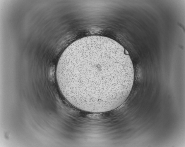 X0000102380082200808291411