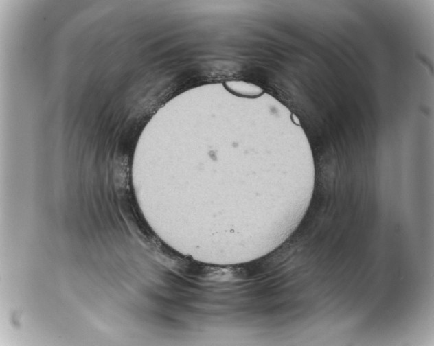 X0000102380083200808291411