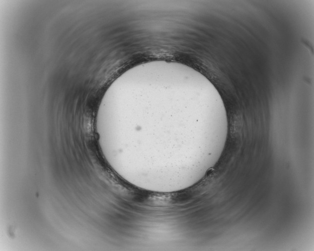 X0000102380084200808291411