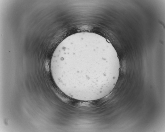 X0000102380086200808291411