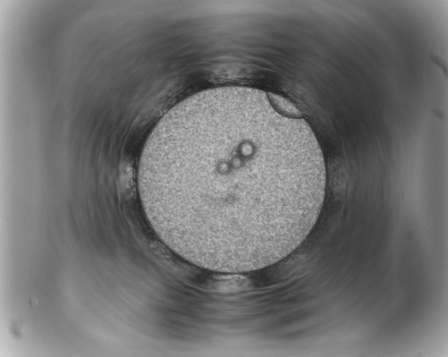 X0000102380087200808291411