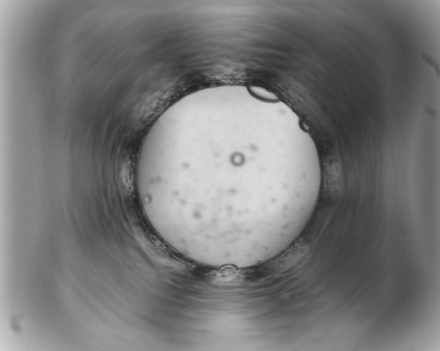 X0000102380088200808291411