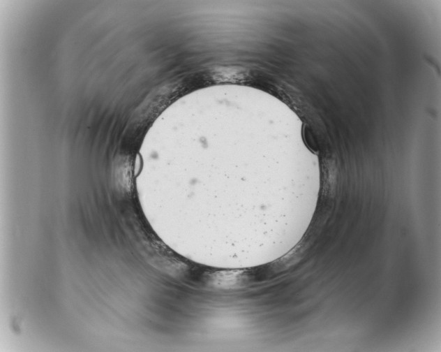 X0000102380090200808291411