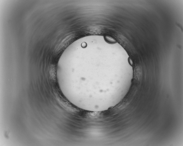 X0000102380092200808291411