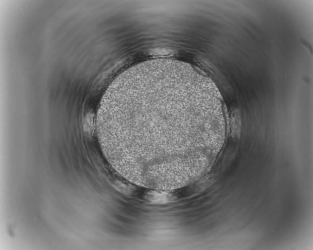 X0000102380093200808291411