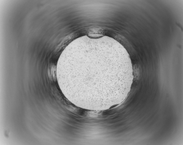 X0000102380094200808291411