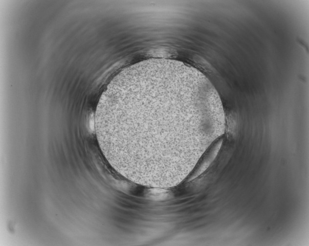 X0000102380095200808291411