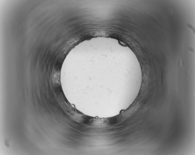 X0000102380096200808291411