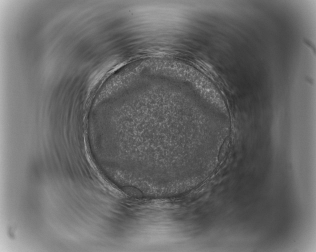 X0000102380097200808291410