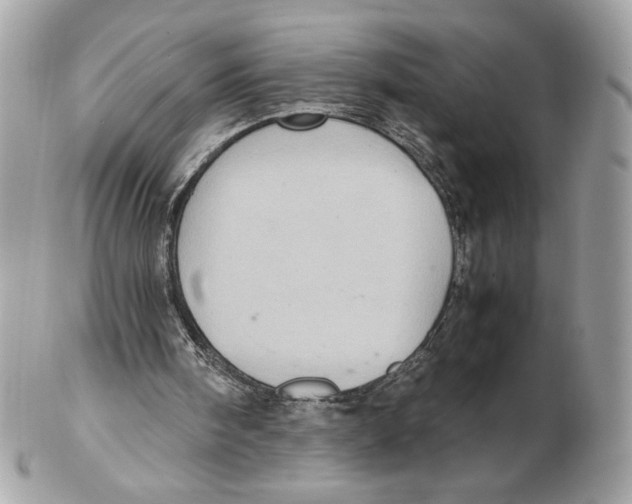 X0000102380098200808291410