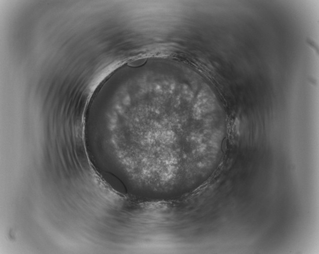 X0000102380100200808291410