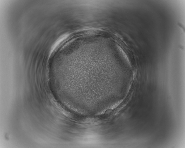 X0000102380101200808291410