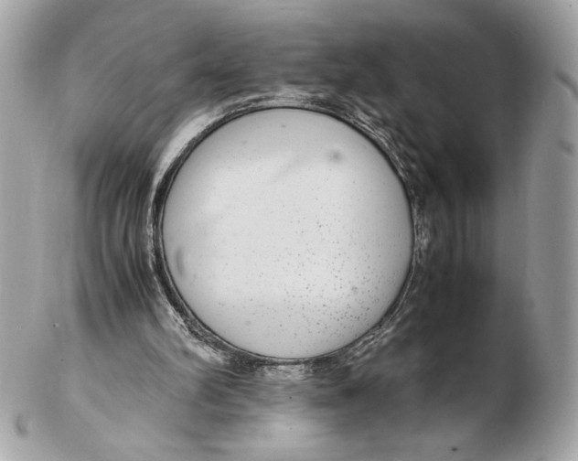 X0000102380102200808291410