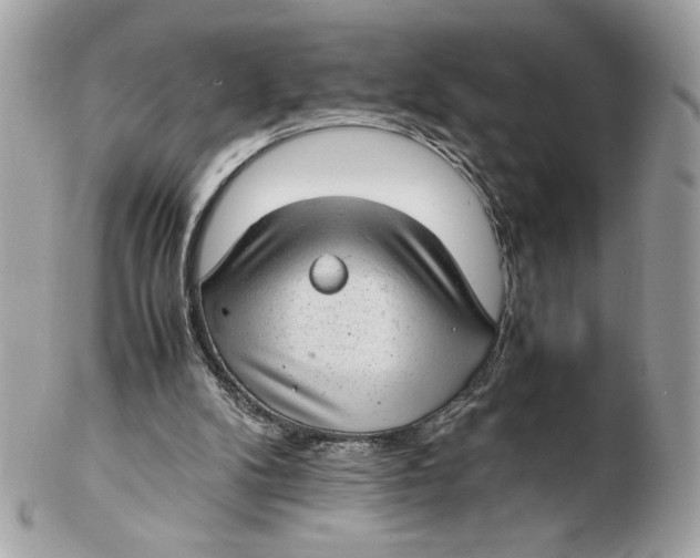 X0000102380104200808291410