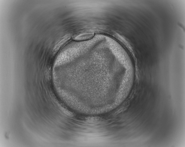 X0000102380105200808291410