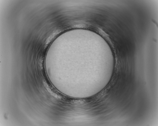 X0000102380106200808291410