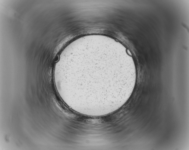 X0000102380107200808291410