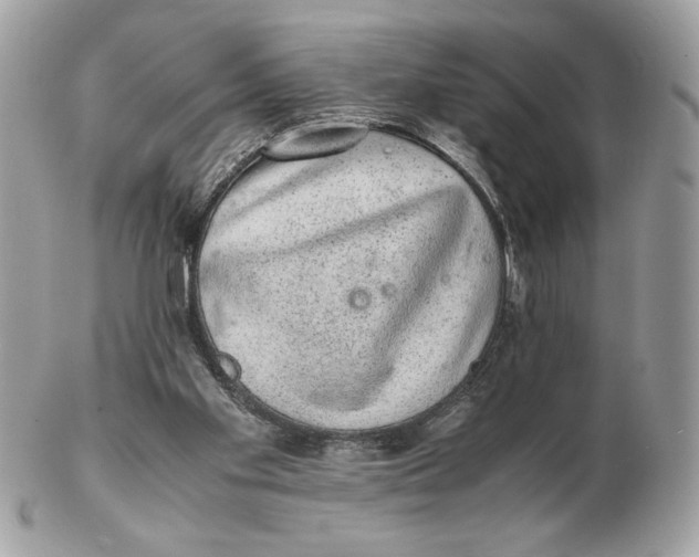 X0000102380109200808291410