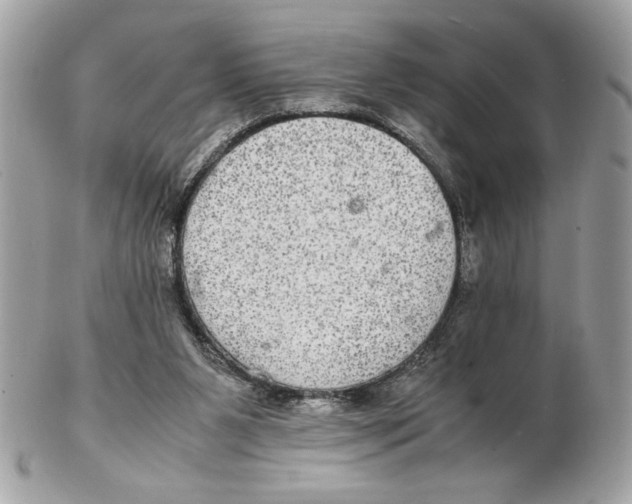 X0000102380111200808291410