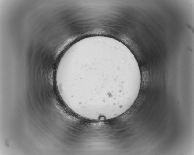 X0000102380112200808291410