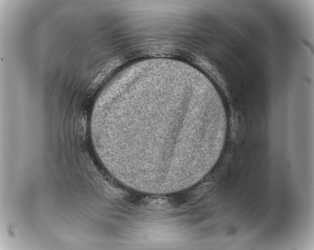 X0000102380113200808291410