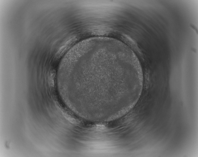 X0000102380114200808291410