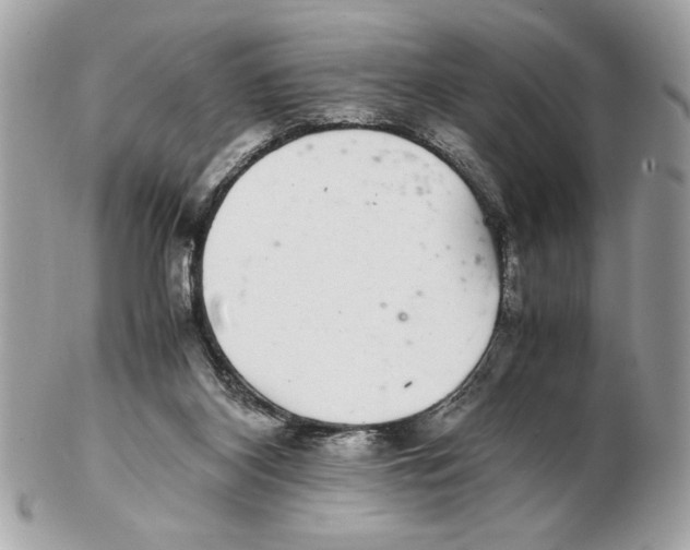 X0000102380116200808291410