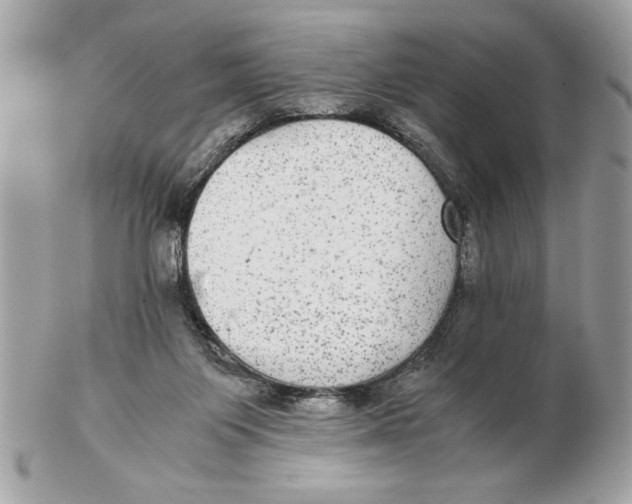 X0000102380119200808291410