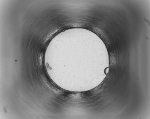 X0000102380120200808291410