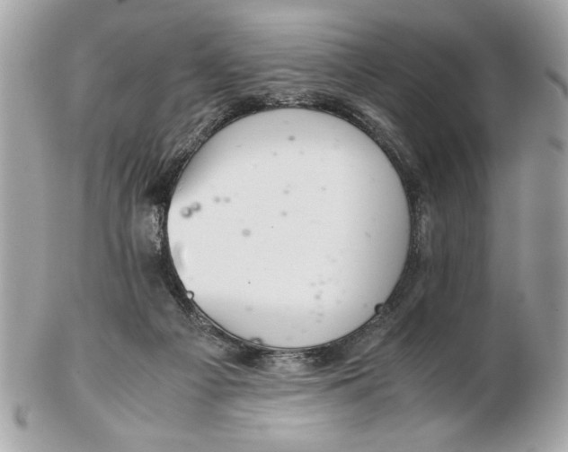 X0000102380121200808291410