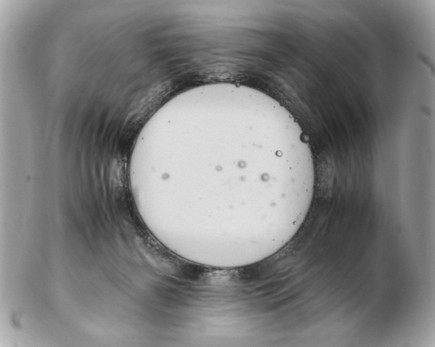 X0000102380126200808291410