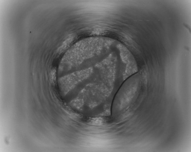 X0000102380127200808291410