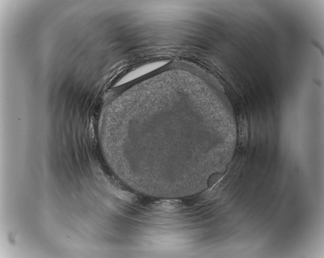 X0000102380128200808291410