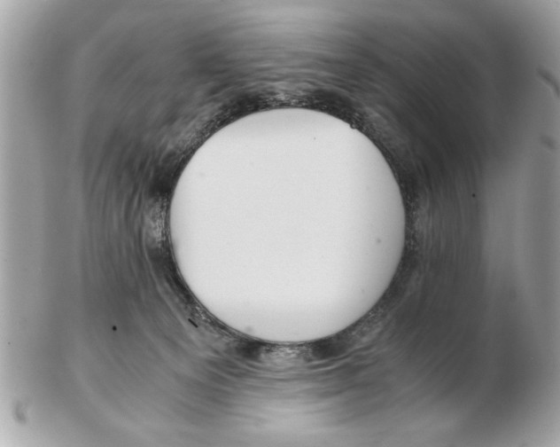 X0000102380129200808291410