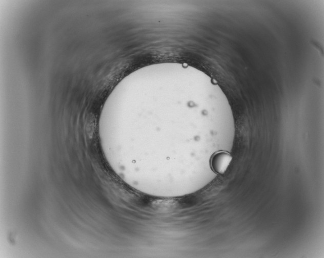 X0000102380133200808291410