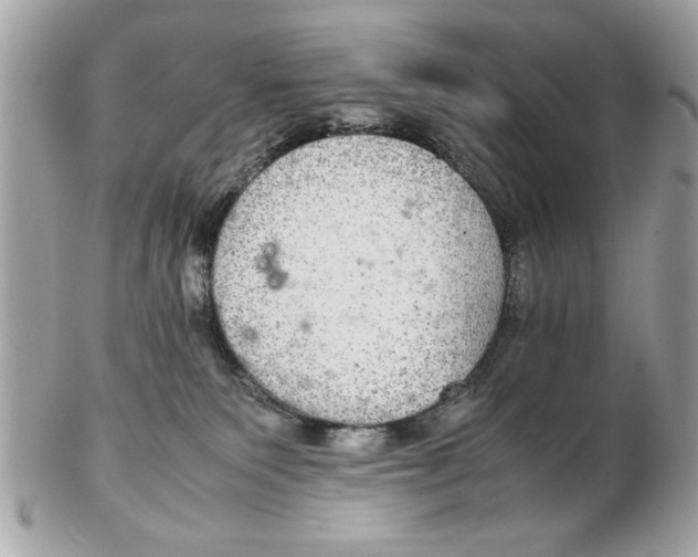 X0000102380135200808291409