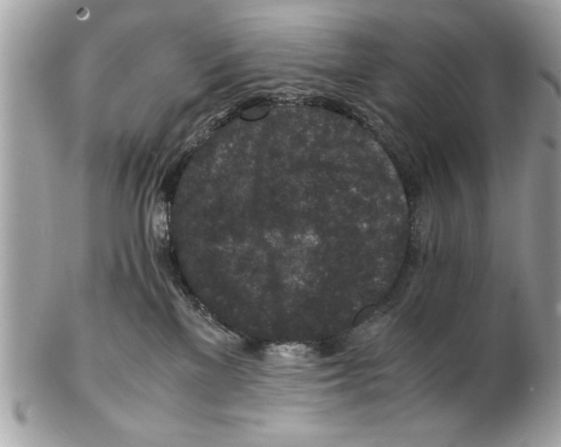 X0000102380137200808291409