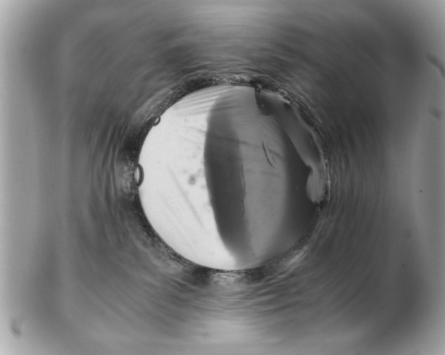 X0000102380139200808291409