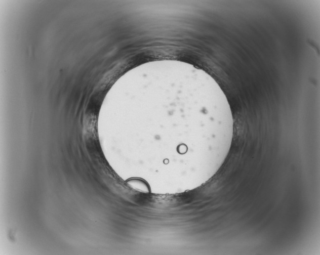 X0000102380141200808291409