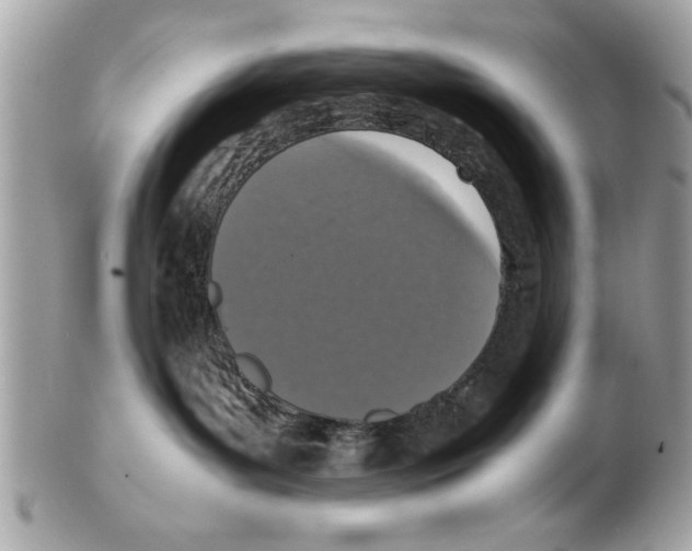 X0000102380143200808291409