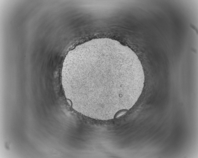 X0000102380144200808291409