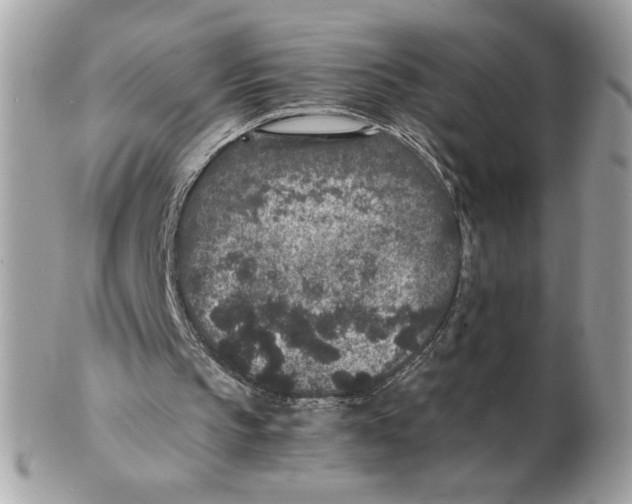 X0000102380145200808291409