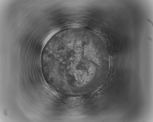 X0000102380147200808291409