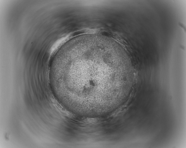 X0000102380149200808291409