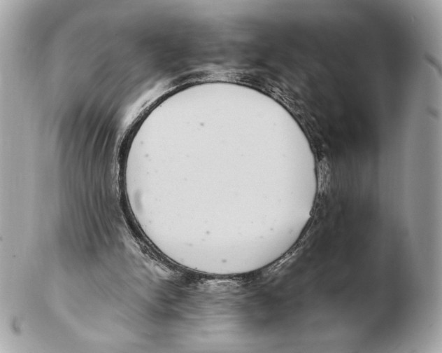 X0000102380150200808291409