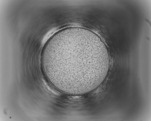 X0000102380151200808291409