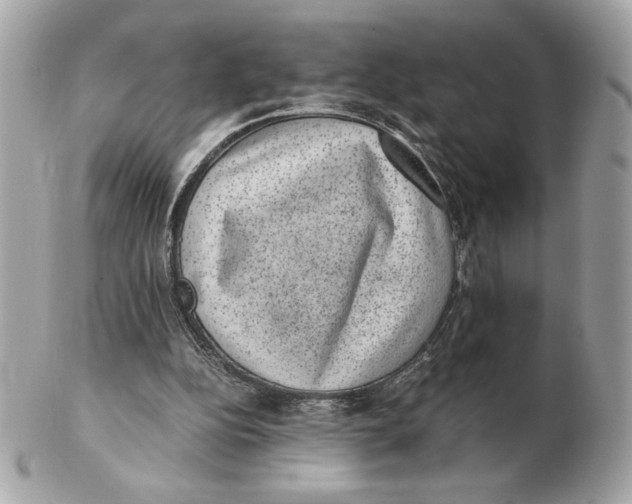 X0000102380152200808291409