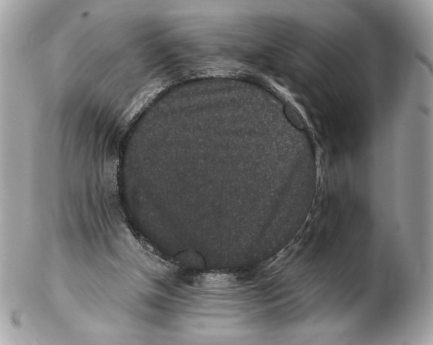 X0000102380154200808291409